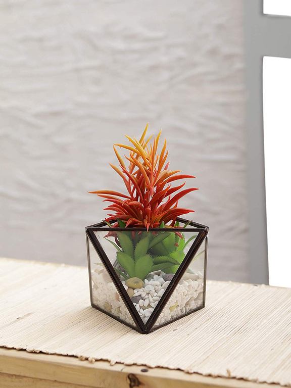Diamond Terrarium
