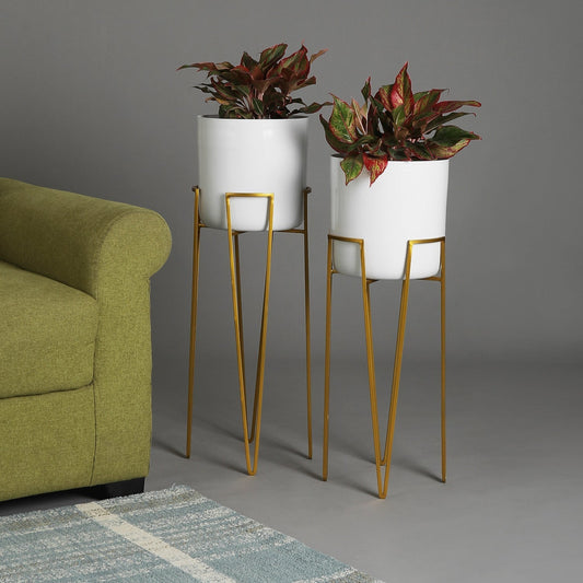 Madrid White & Gold Planters Set of 2