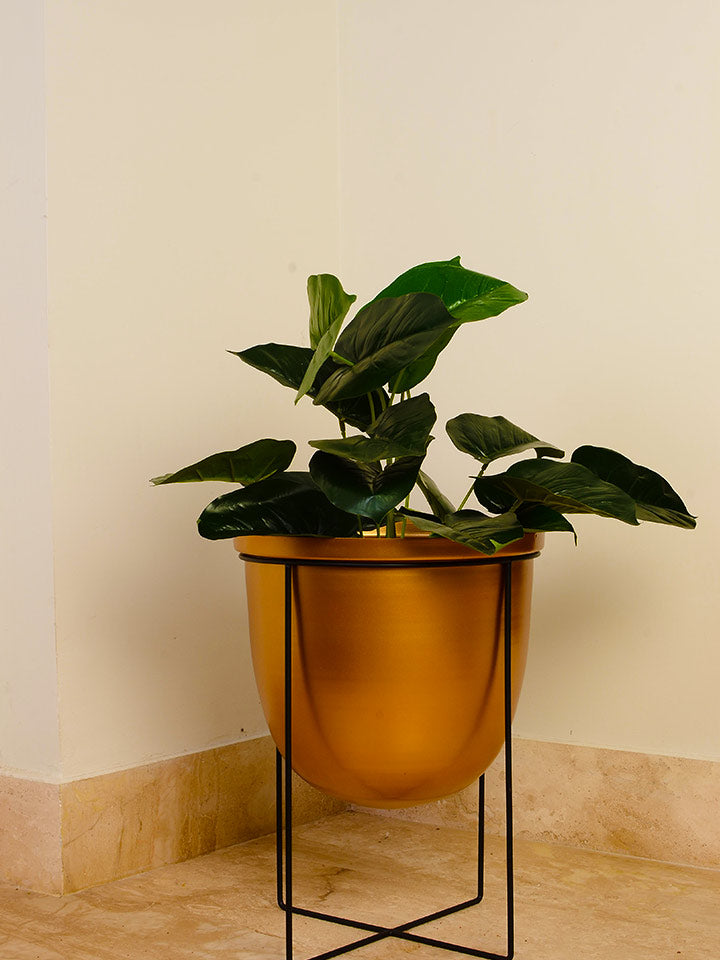Borris Planter