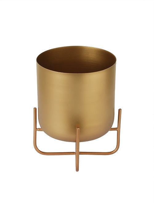 Ralph Planter
