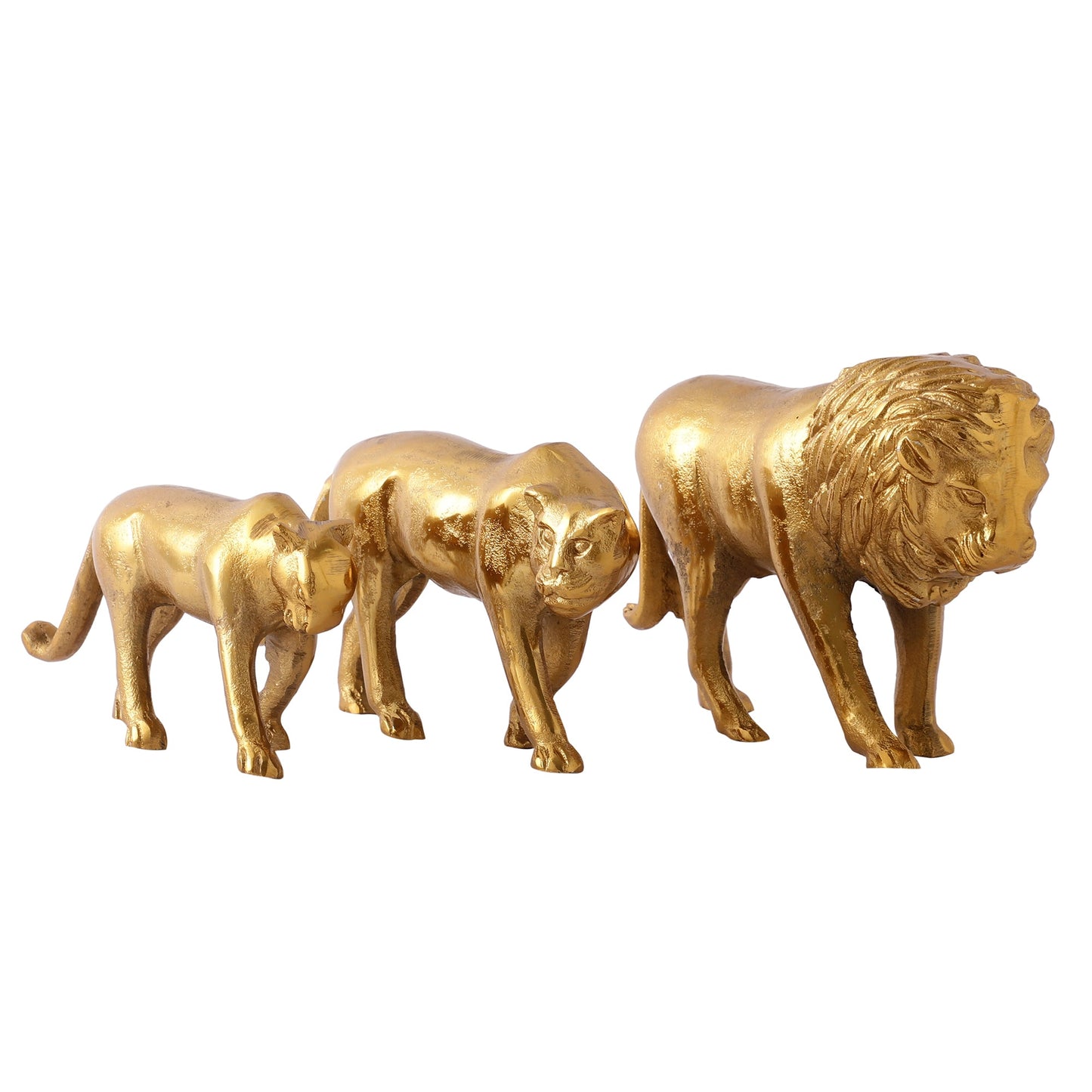 Savannah Lion Set of 3