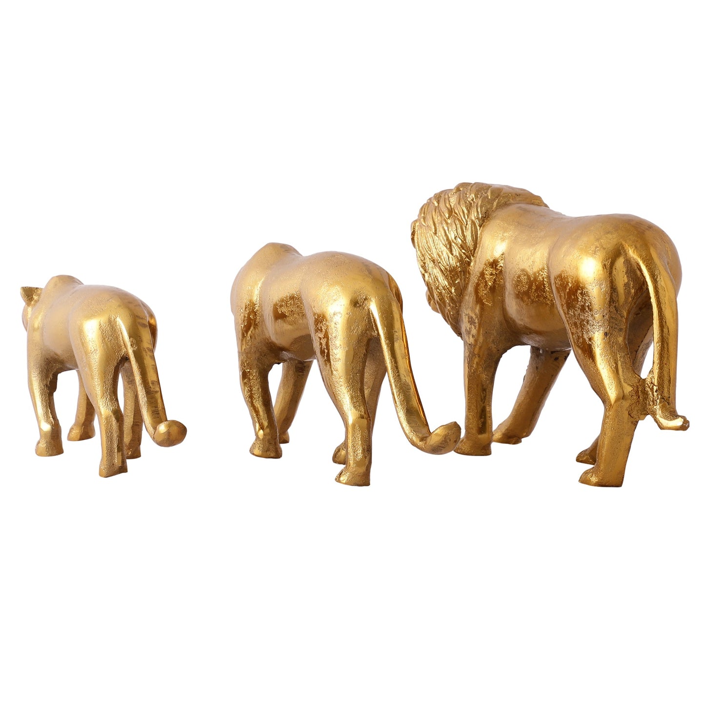 Savannah Lion Set of 3