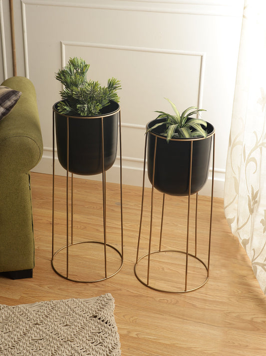 Malaga Black & Gold Planters Set of 2