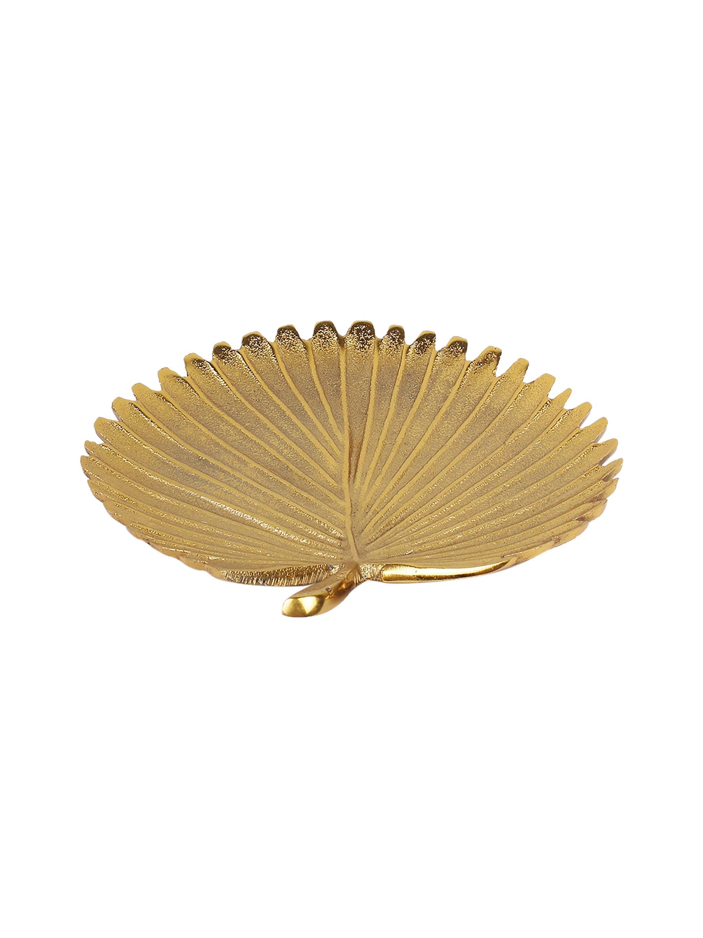 Sabal Leaf Set Of 4 Coasters