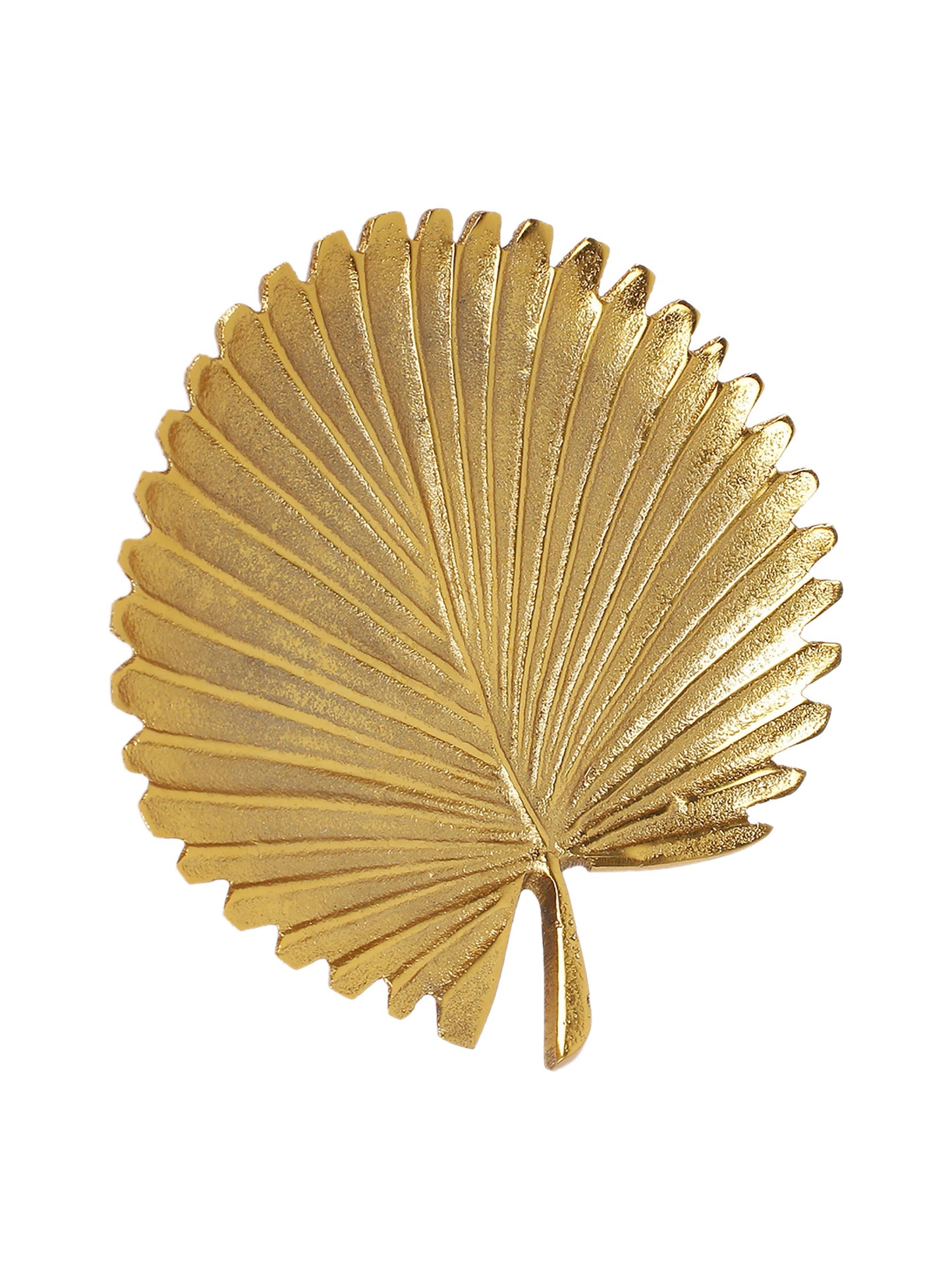 Sabal Leaf Set Of 4 Coasters