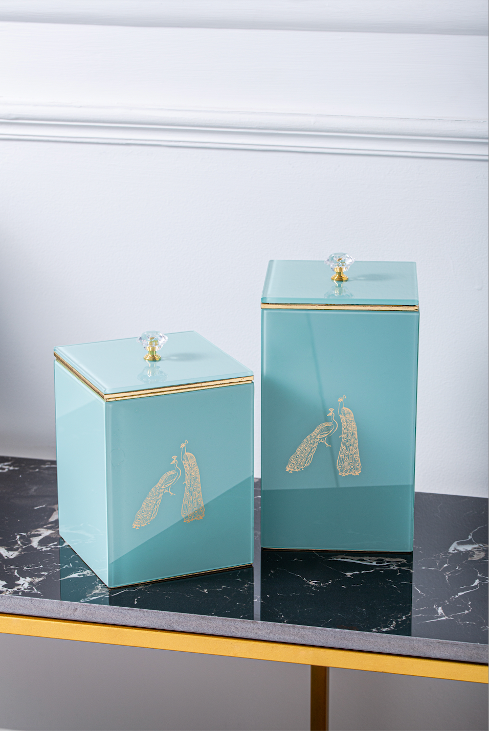 Bailey Peacock Decorative Rectangle Jars Set of 2