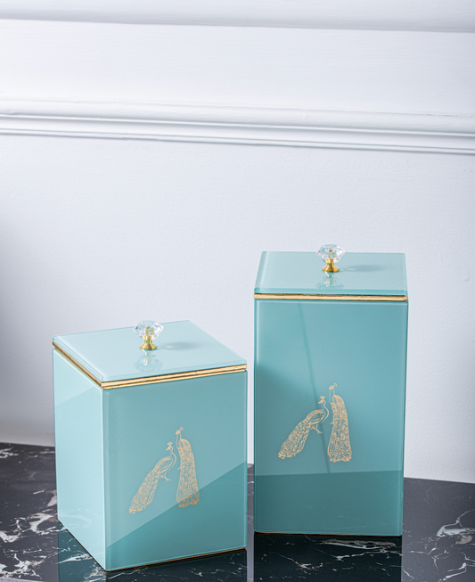 Bailey Peacock Decorative Rectangle Jars Set of 2