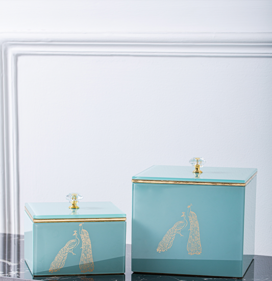 Bailey Peacock Decorative Square Jars Set of 2