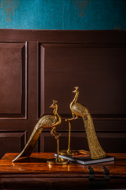 Bailey Decorative Peacock Accent Set of 2