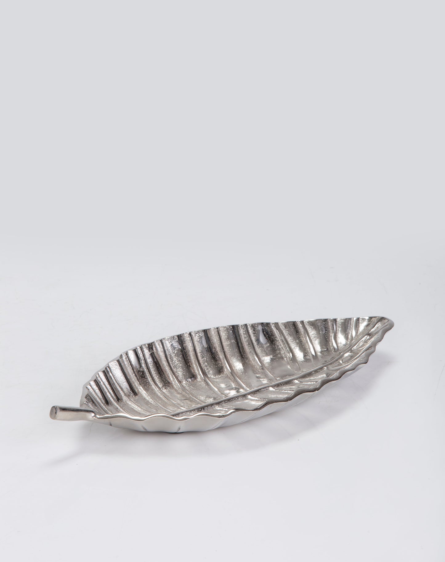 Palm Leaf Large