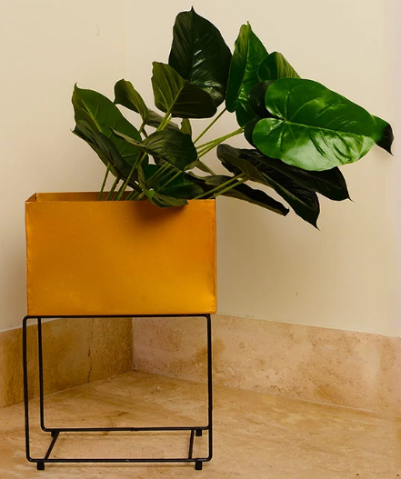 Arielle Rectangular Planter