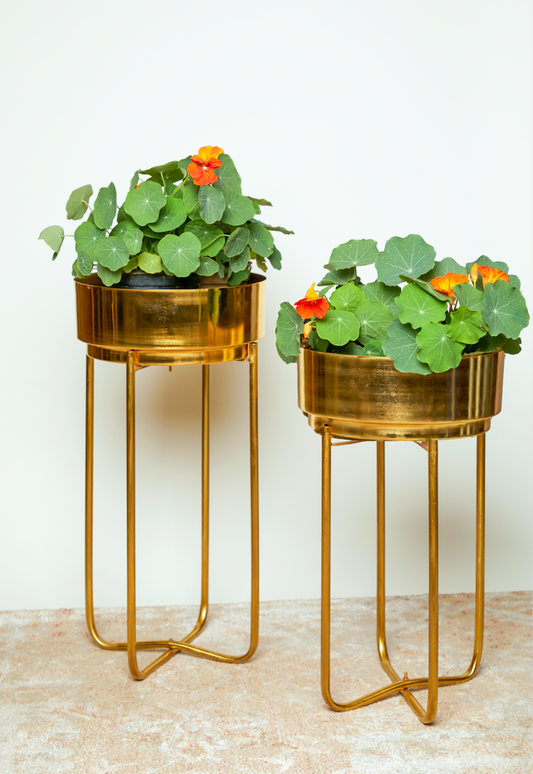Malmo Gold Planter