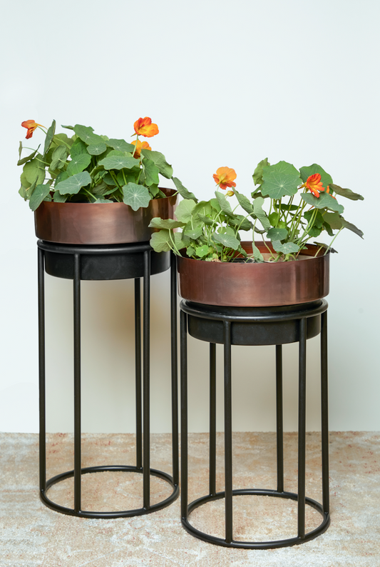 Athens Copper Planter